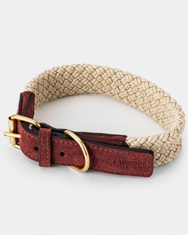 Flat Rope and Leather Dog Collar - Brown Buckle