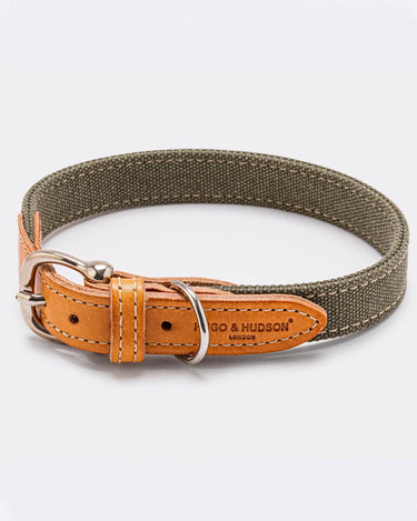 Denim and Leather Dog Collar - Green and Tan Buckle