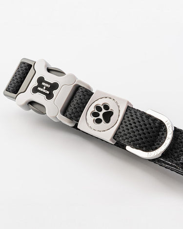 Mesh Dog Collar - Black Buckle