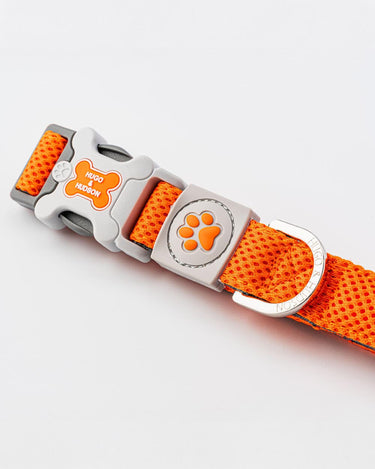 Mesh Dog Collar - Orange Buckle