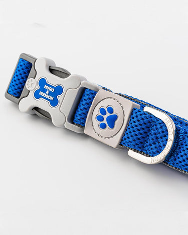 Mesh Dog Collar - Royal Blue Buckle