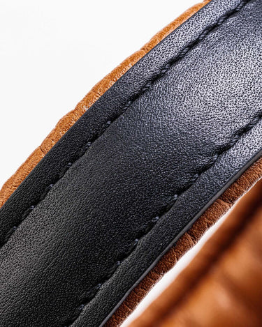 Padded Leather Dog Collar - Black and Brown Stitching