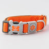 Mesh Dog Collar - Orange