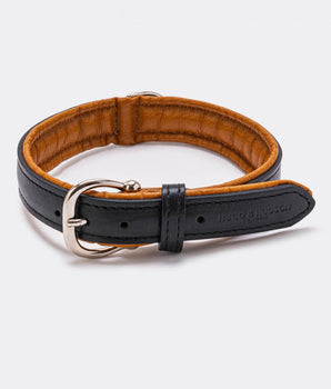 Padded Leather Dog Collar - Black and Brown