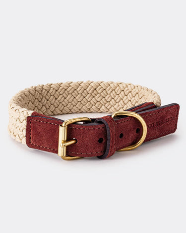 Flat Rope and Leather Dog Collar - Brown