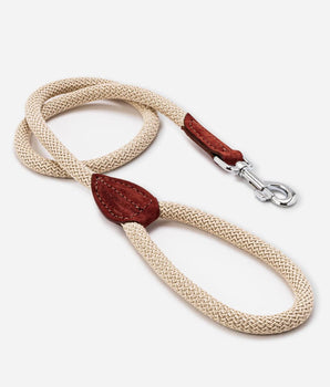 Rope and Suede Leather Dog Lead - Brown