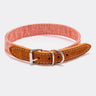 Fabric and Suede Leather Dog Collar - Orange
