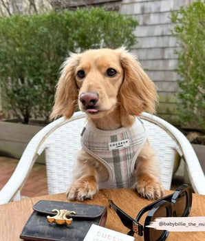 Cocopup London Oxford Plaid Harness