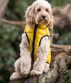Reversible Dog Puffer Jacket - Yellow and Gray Lifestyle