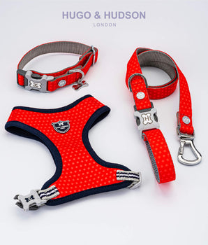 Matching Collar, Lead and Harness Set - Red and Coral Polka Dot