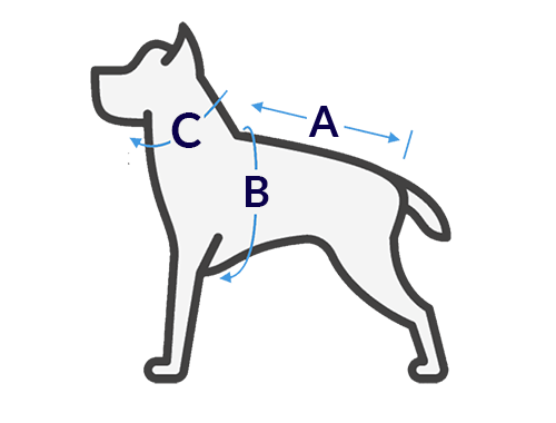 Dog sizing guide