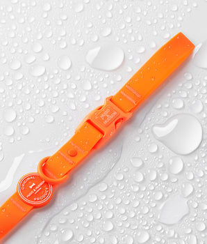 Orange Waterproof Dog Lead Water Droplets