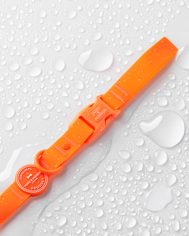 Orange Waterproof Dog Lead Water Droplets