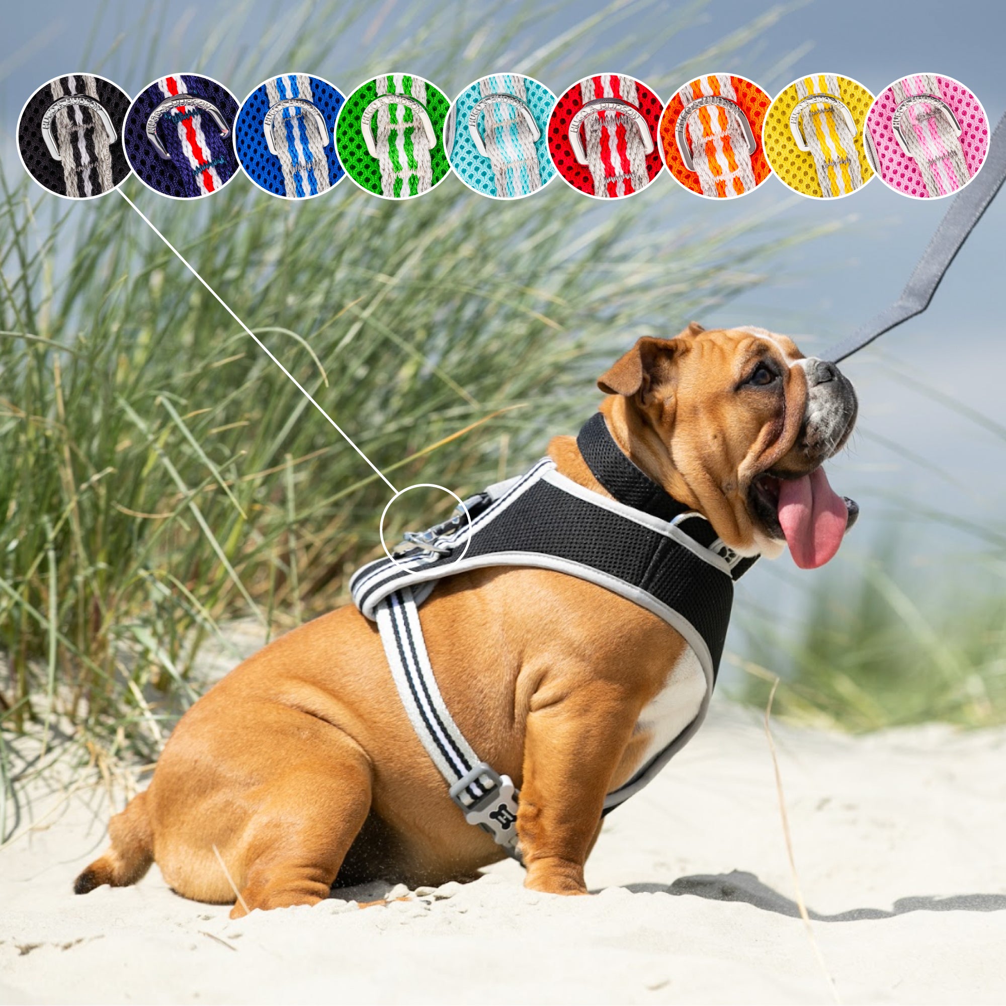 Mesh Dog Harness Navy Hugo & Hudson London