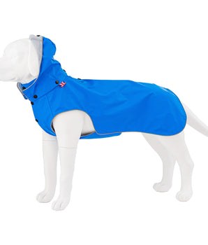 Blue dog raincoat