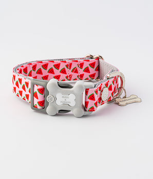 SMALL-SIZE DOG & CAT COLLAR - SPANISH PINK