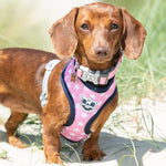 Fabric Dog Collar - Pink Star