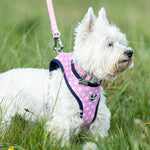 Fabric Dog Collar - Pink Star