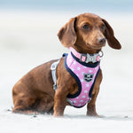 Fabric Dog Collar - Pink Star