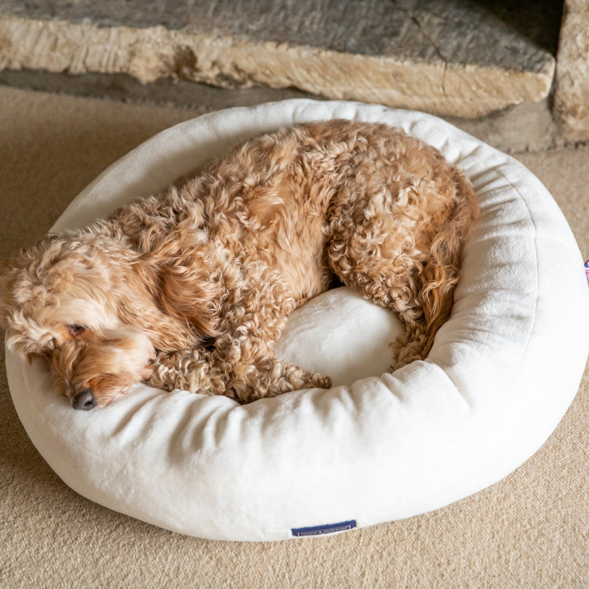 Round Donut Dog Bed Creamy White Hugo & Hudson London