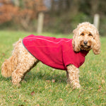 Cosy Warm Fleece Dog Jacket - Burgundy