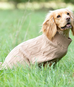 Knitted Dog Jumper - Camel