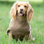 Knitted Dog Jumper - Camel