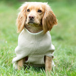 Knitted Dog Jumper - Beige