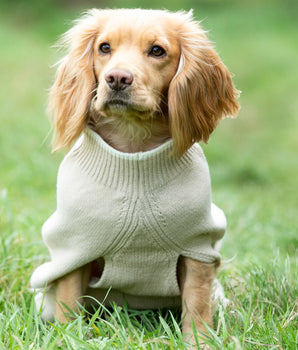 Knitted Dog Jumper - Beige