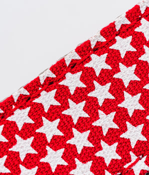 Fabric Dog Lead - Red Star