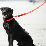 Fabric Dog Lead - Red and Coral Polka Dot