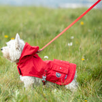 Fabric Dog Lead - Red and Coral Polka Dot