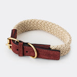 Flat Rope and Leather Dog Collar - Brown