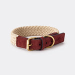 Flat Rope and Leather Dog Collar - Brown
