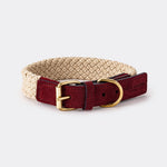 Flat Rope and Leather Dog Collar - Burgundy