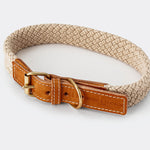 Flat Rope and Leather Dog Collar - Tan