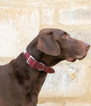 Rope and Leather Dog Collar - Burgundy