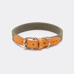 Denim and Leather Dog Collar - Green and Tan