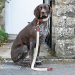 Flat Rope and Leather Dog Lead - Brown
