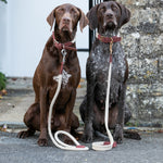 Flat Rope and Leather Dog Lead - Brown