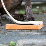 Flat Rope and Leather Dog Lead - Tan