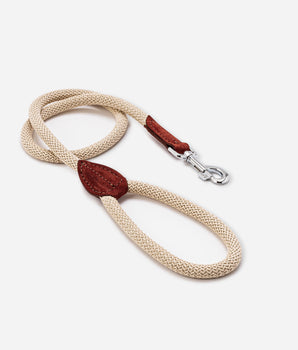 Rope and Suede Leather Dog Lead - Brown