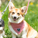 Fabric Dog Bandana - Red Star