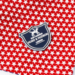 Fabric Dog Bandana - Red Star
