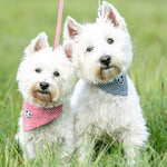 Fabric Dog Bandana - Red Star