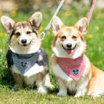 Fabric Dog Bandana - Red Star