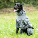 Protective Dog Overalls - Grey