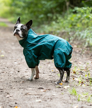 Protective Dog Overalls - Teal