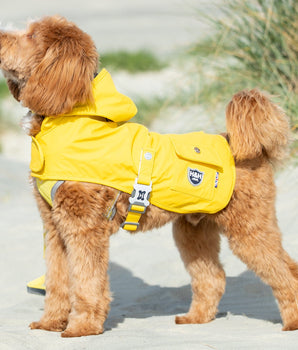 Dog Raincoat - Yellow