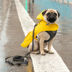 Dog Raincoat - Yellow
